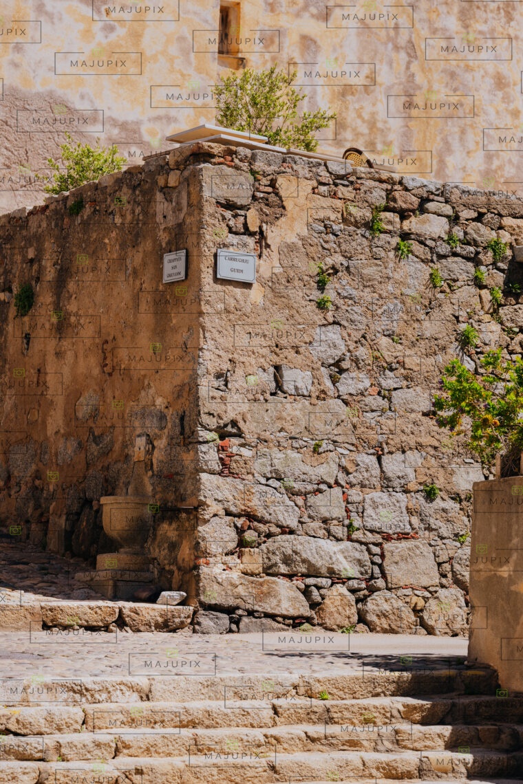 Calvi