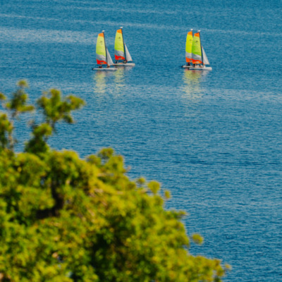 Calvi