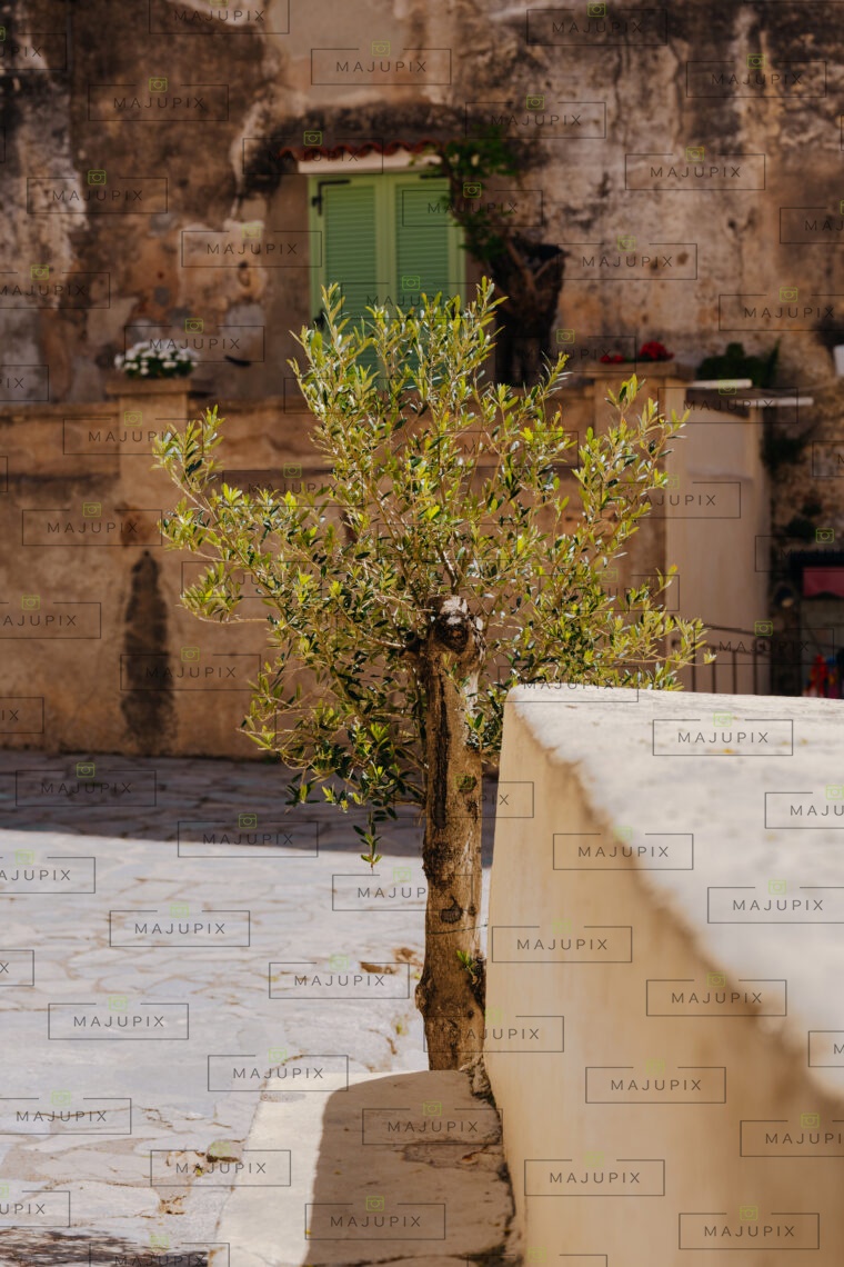 Calvi