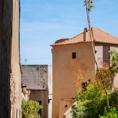 Calvi