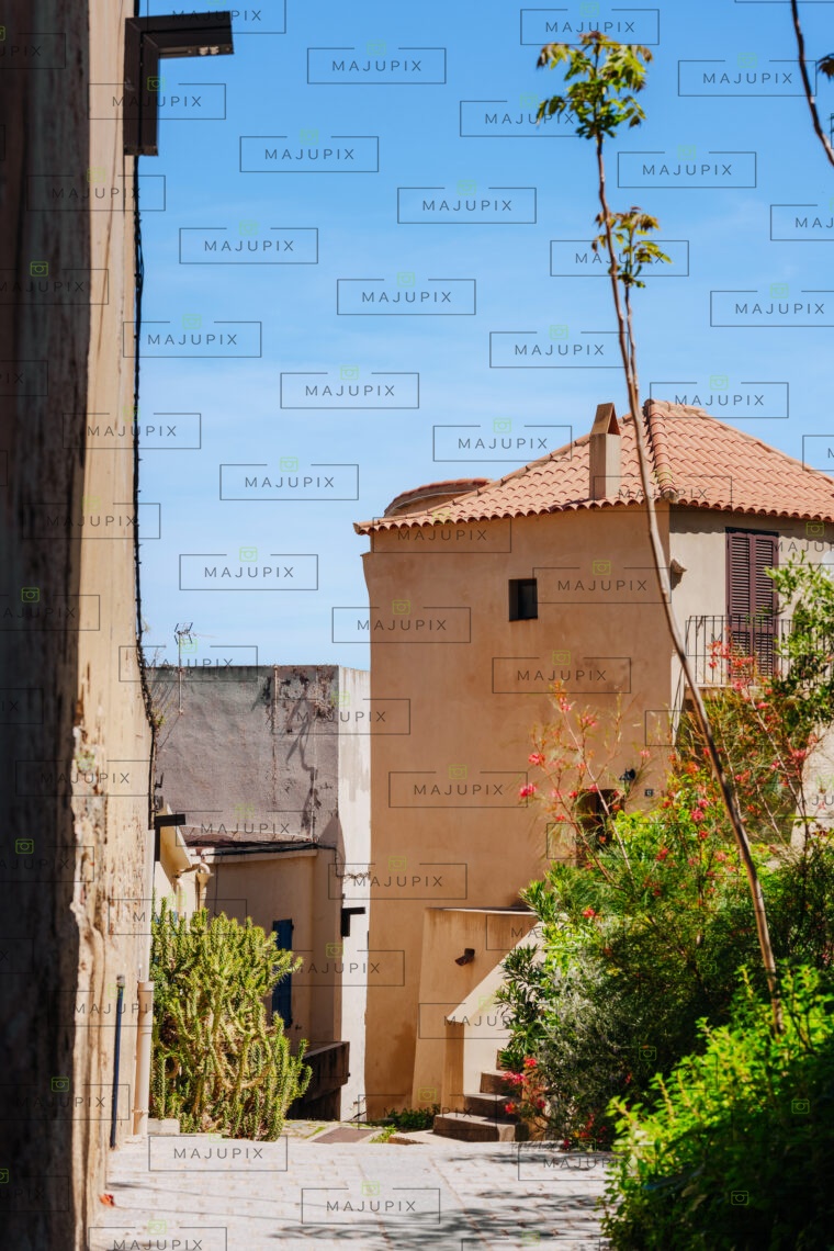 Calvi