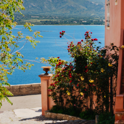 Calvi