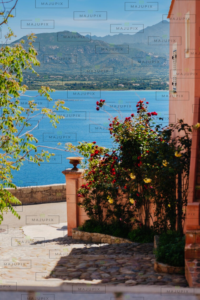 Calvi