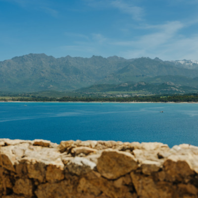 Calvi