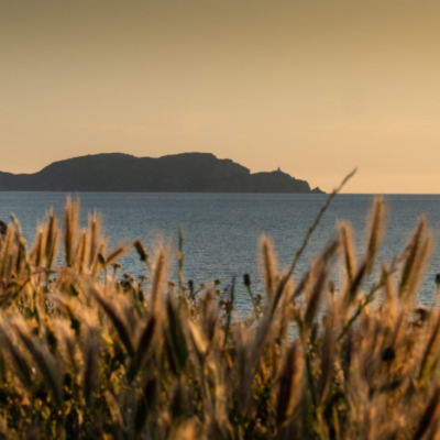 La Revellata au coucher de soleil
