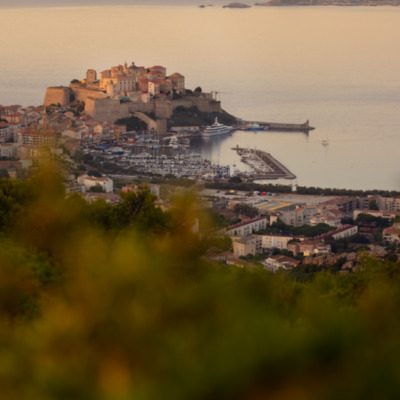 Calvi au coucher de soleil