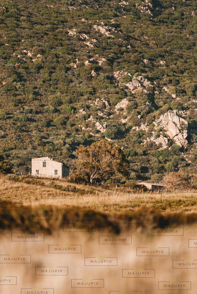 Capo di Feno