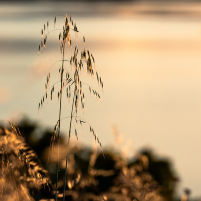 Etang de Diana au coucher de soleil