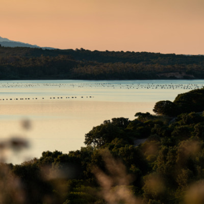 Etang de Diana au coucher de soleil