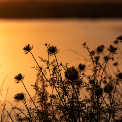Etang de Diana au coucher de soleil