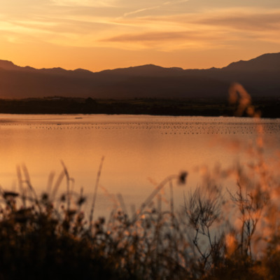 Etang de Diana au coucher de soleil