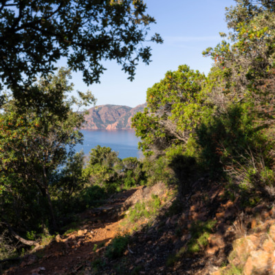 sentier du facteur Girolata