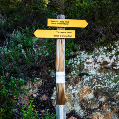 Girolata