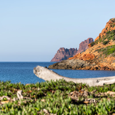 Plage de Tuara Girolata