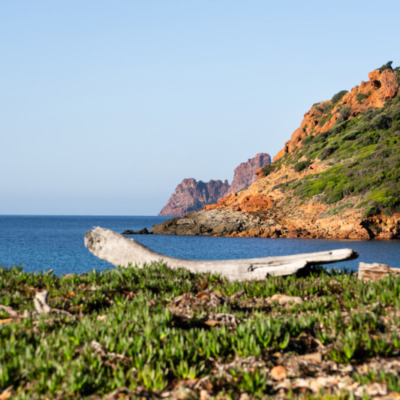 Plage de Tuara Girolata