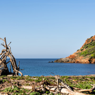 Plage de Tuara Girolata
