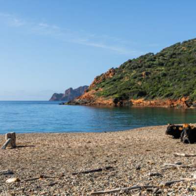Plage de Tuara Girolata