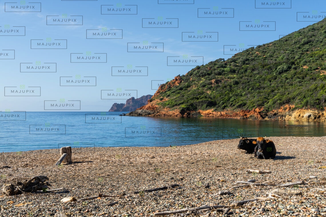 Plage de Tuara Girolata