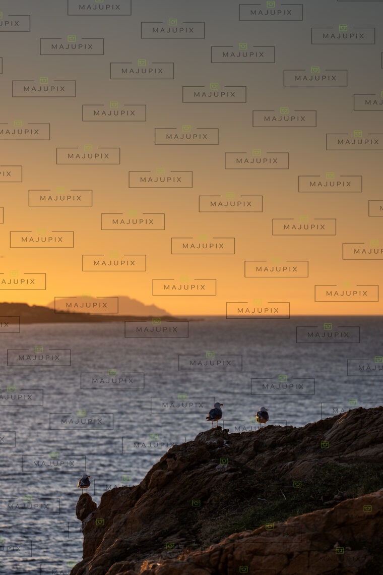 Coucher de soleil à l'Ile-Rousse