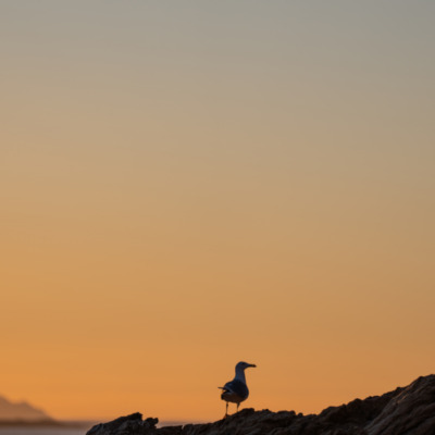 Coucher de soleil à l'Ile-Rousse