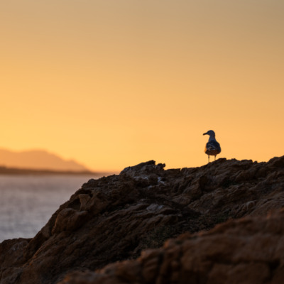 Coucher de soleil à l'Ile-Rousse