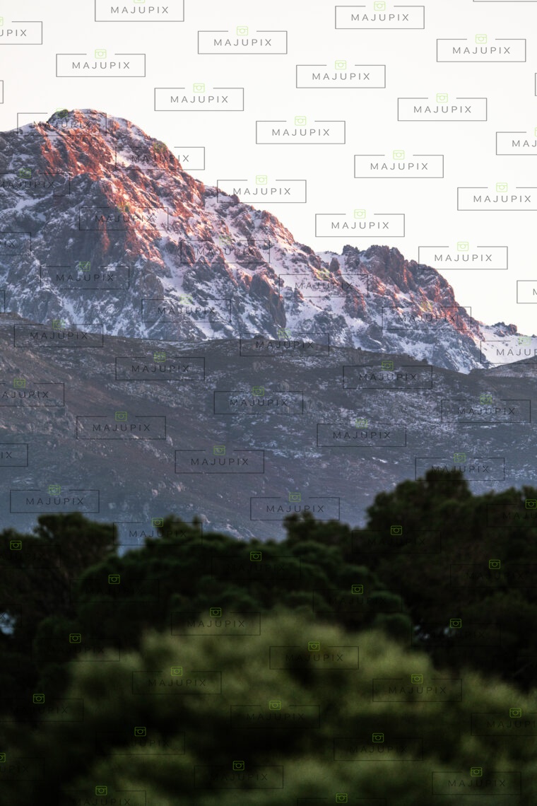 Montagne enneigée