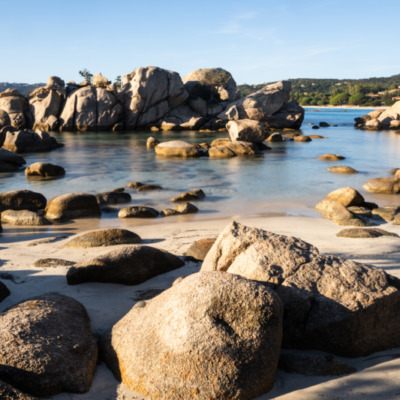 Plage de Palombaggia Porto-Vecchio