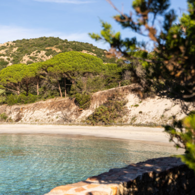 Plage de Palombaggia Porto-Vecchio