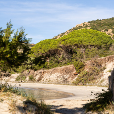 Plage de Palombaggia Porto-vecchio