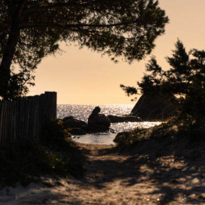 Plage de Palombaggia au lever de soleil Porto-Vecchio