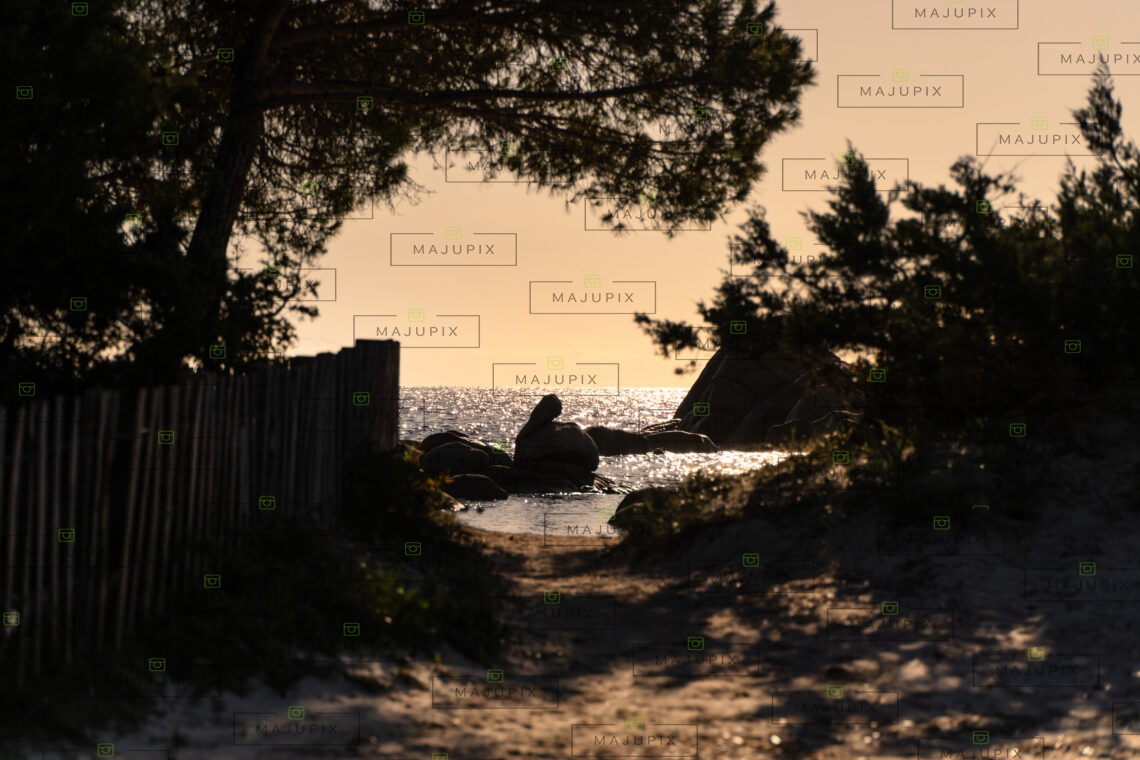 Plage de Palombaggia au lever de soleil Porto-Vecchio