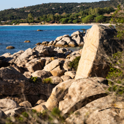 Plage de Palombaggia Porto-Vecchio