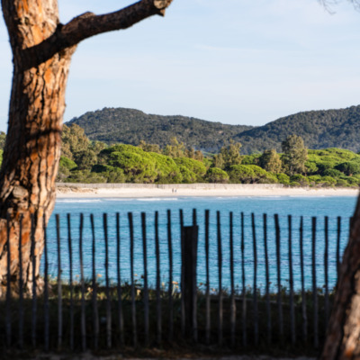 Plage de Palombaggia Porto-Vecchio