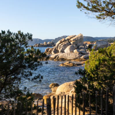 Plage de Palombaggia Porto-Vecchio