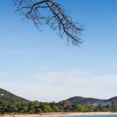 Plage de Palombaggia Porto-Vecchio