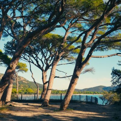 Plage de Palombaggia Porto-Vecchio