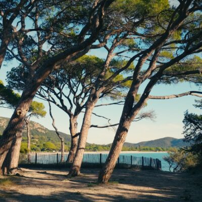 Plage de Palombaggia Porto-Vecchio