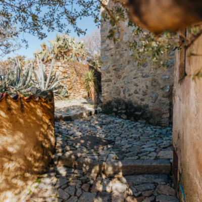 Pigna