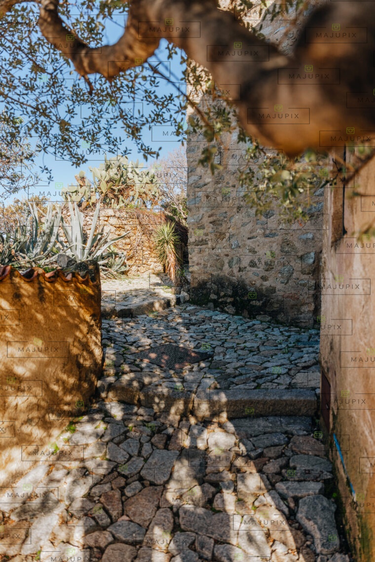 Pigna