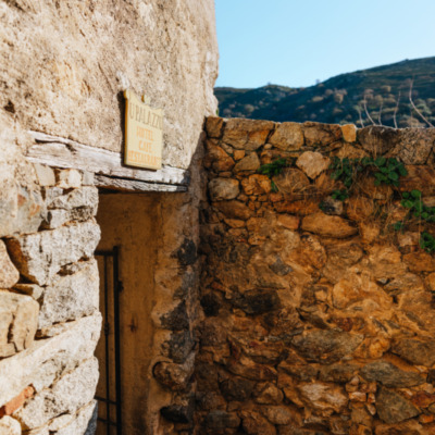 Pigna