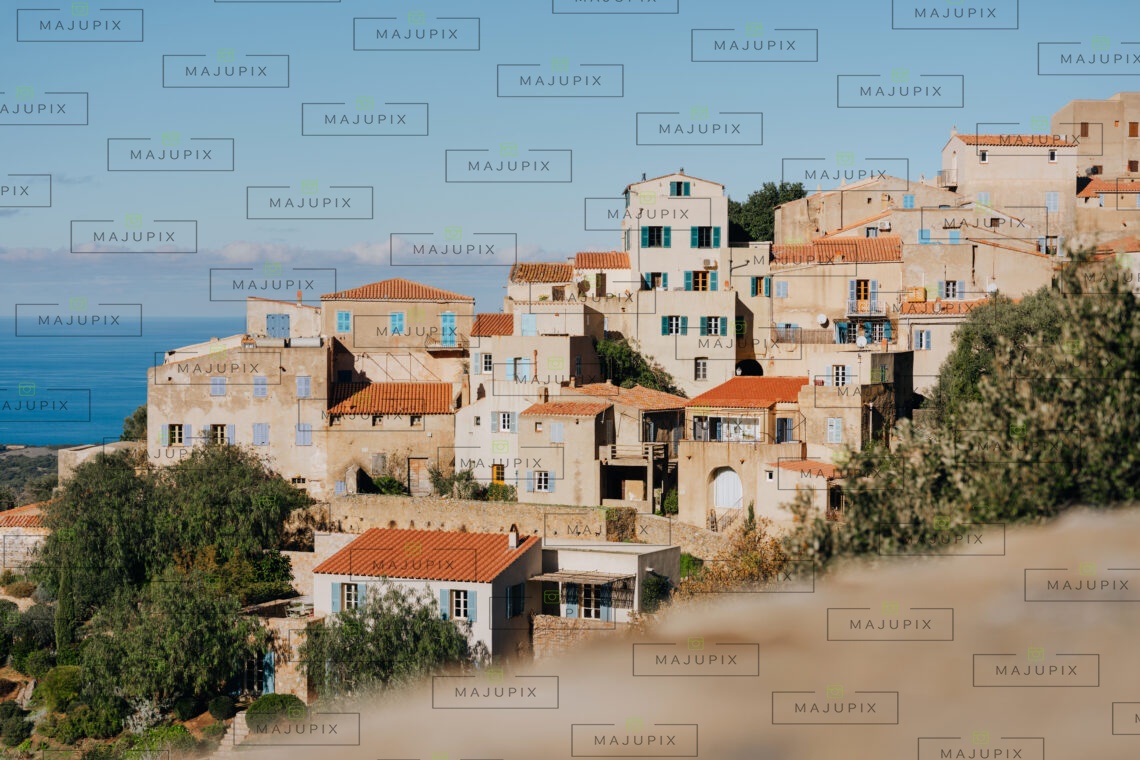 Pigna