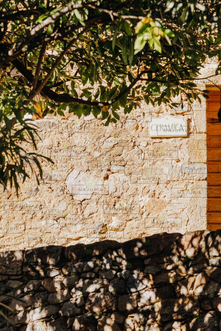 Pigna