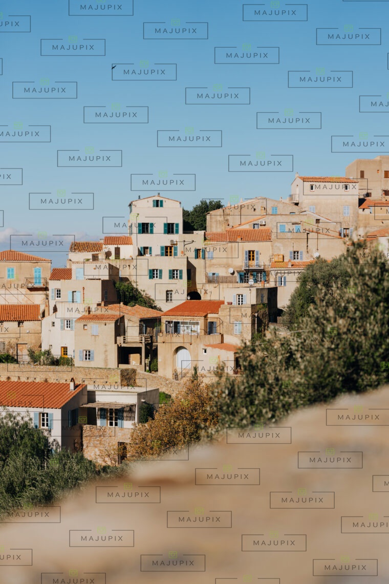 Pigna