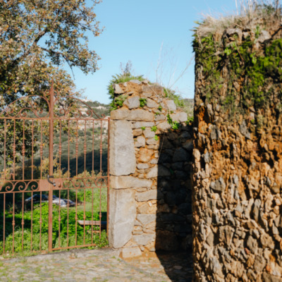 Pigna