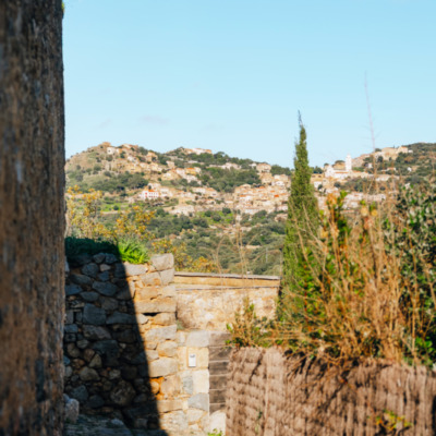 Pigna