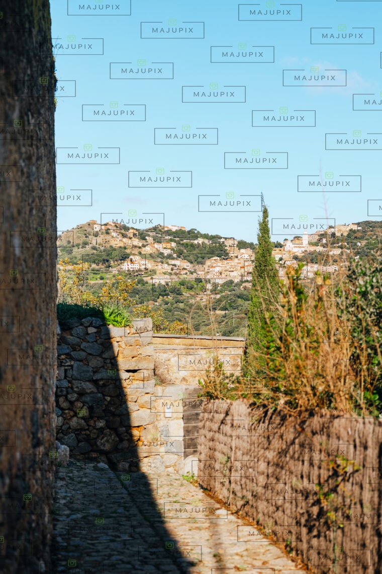 Pigna