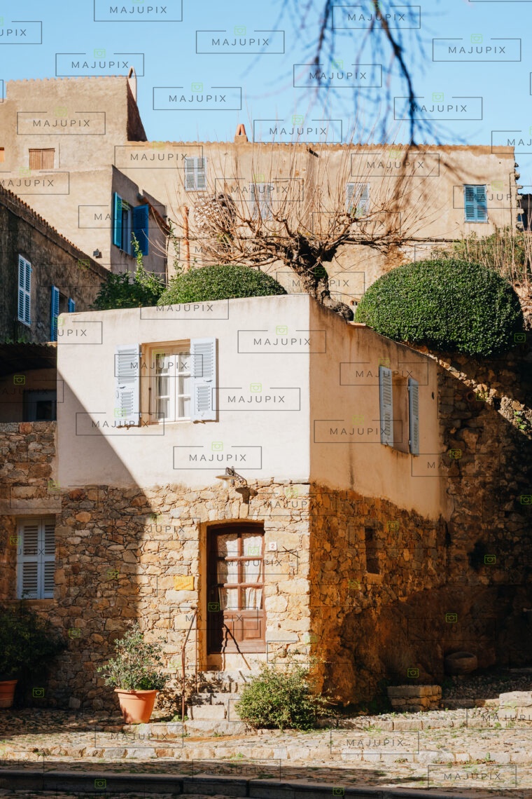 Pigna