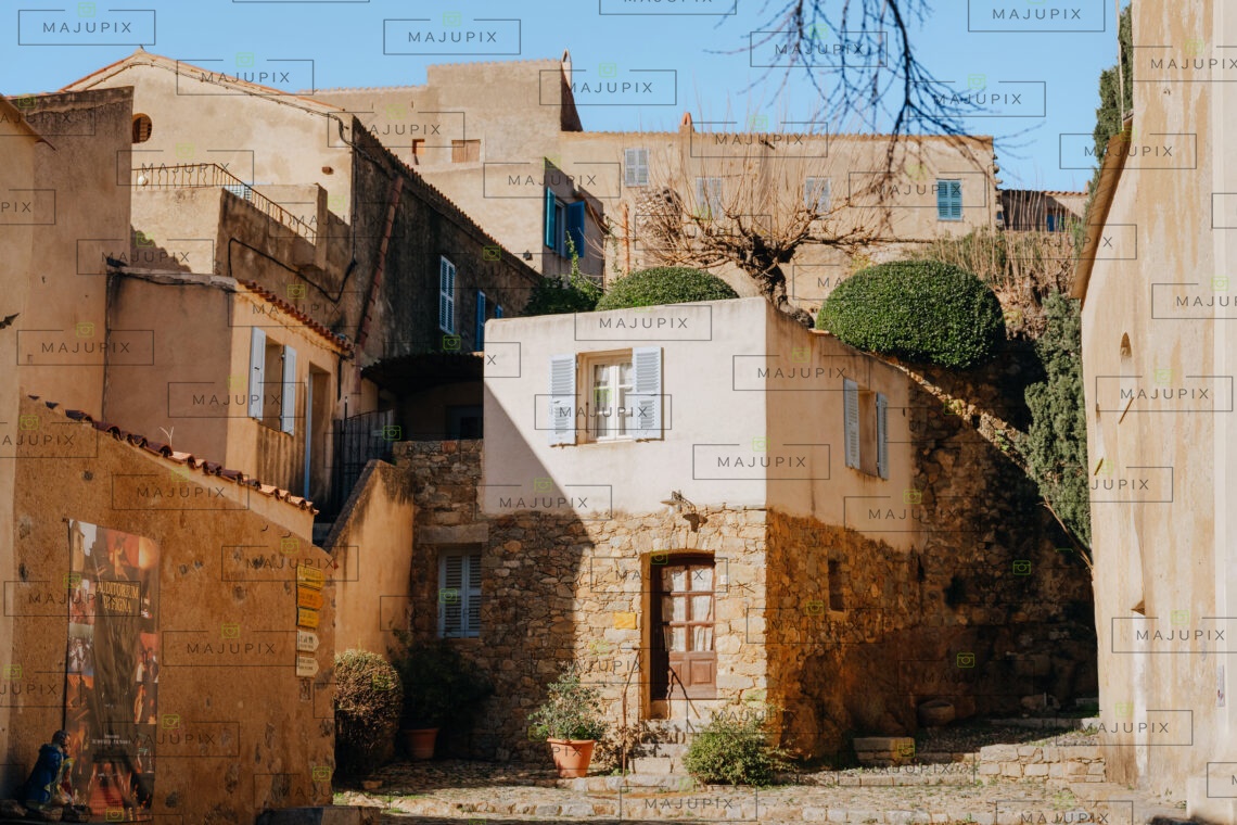 Pigna