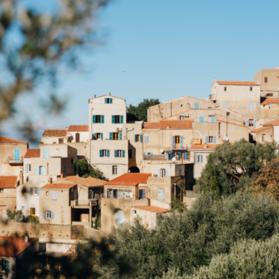 Pigna