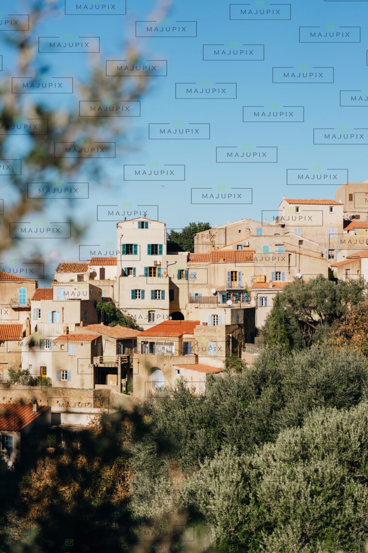 Pigna